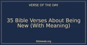 35 Bible Verses About Being New (With Meaning)